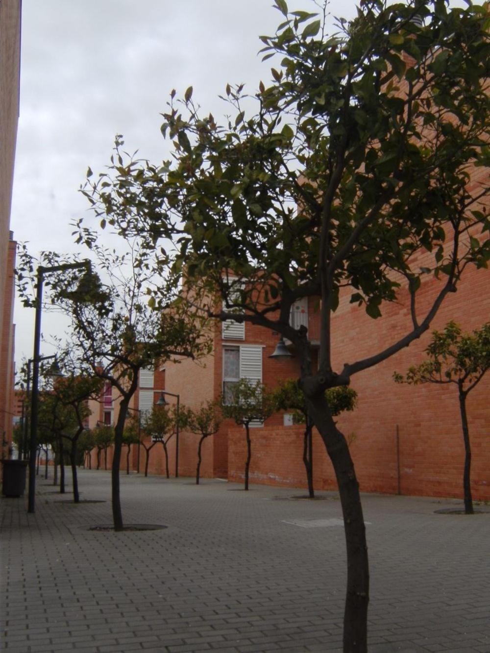 Students Only- Residencia Universitaria Alberto Jimenez - Malaga — Fotos 2